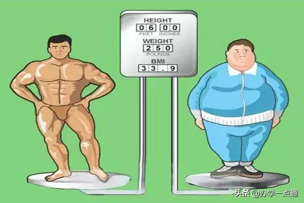 学而思未来体系怎么样,学而思和新东方转型