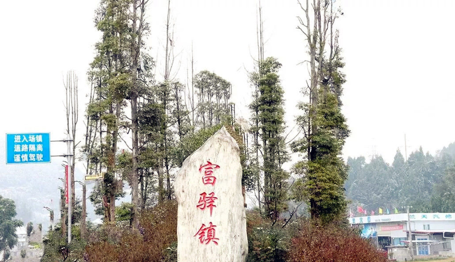 四川盐亭哪个镇人口最多,四川盐亭最大镇