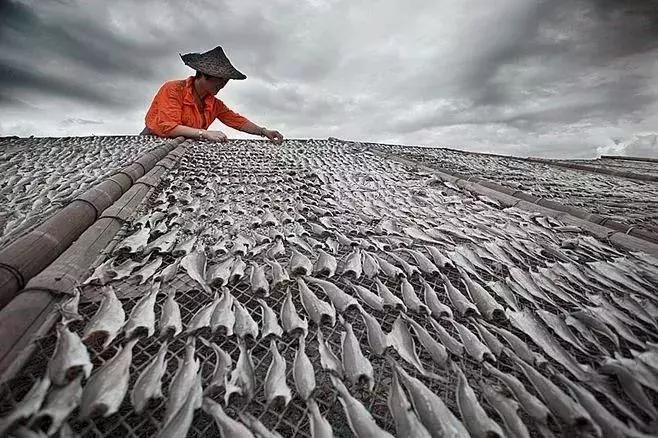 舟山一线海景酒店,舟山铂尔曼酒店婚宴
