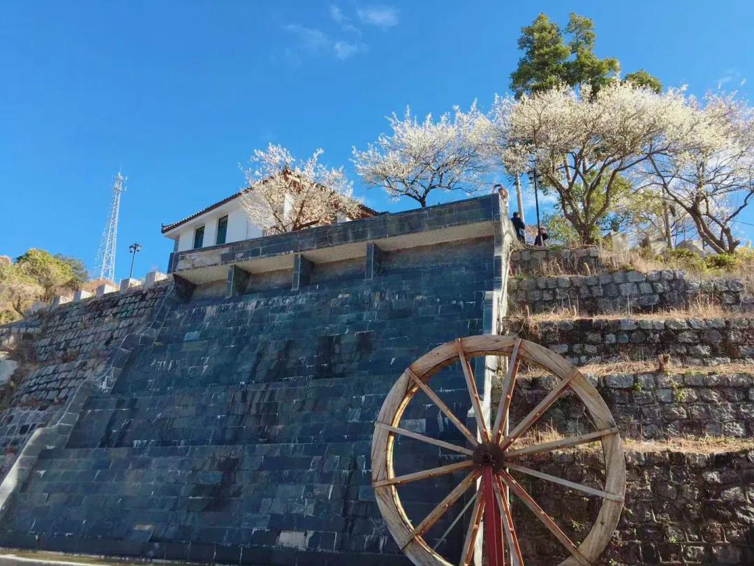 「山水中国」2021年1月｜|才入南湖烟雨路，梅开十里合春云