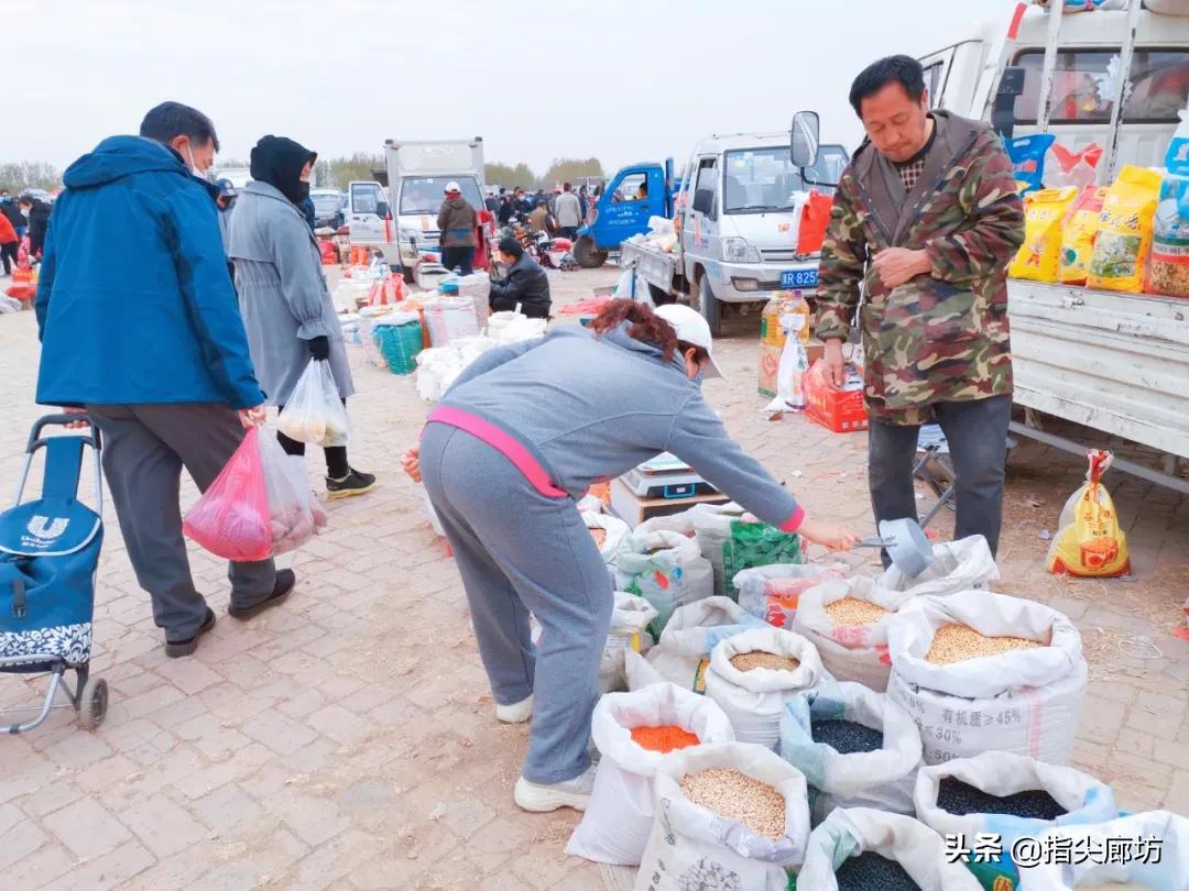 廊坊杨税务集市,在早市遇见久违的人间烟火气