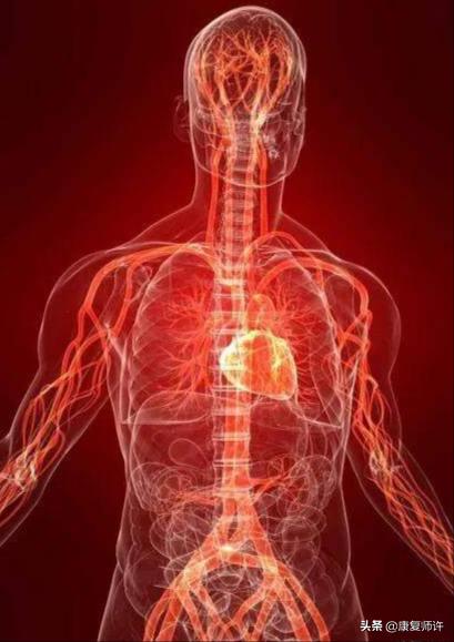 产后腹直肌分离的解决方法,产后腹直肌分离怎么处理