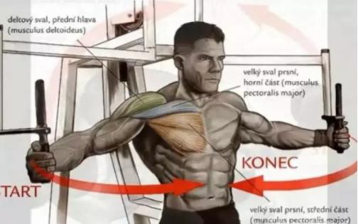 卧推手臂没劲怎么锻炼,练卧推为什么是手臂先没力气