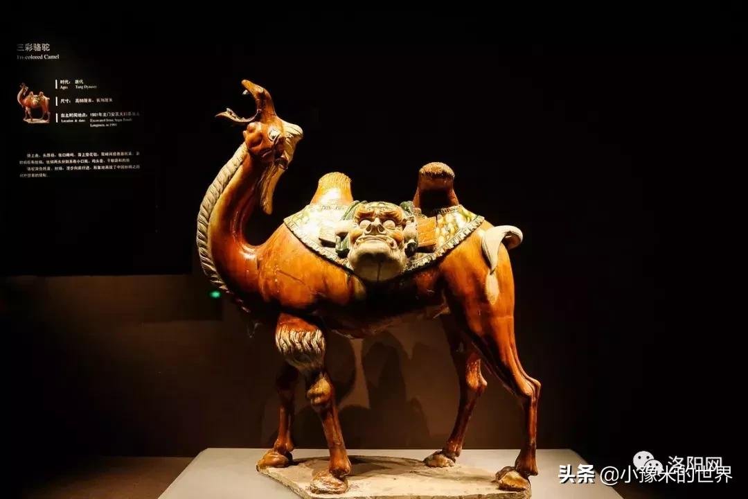 向洛阳人发出邀请国潮盛宴来袭,洛阳发布通知