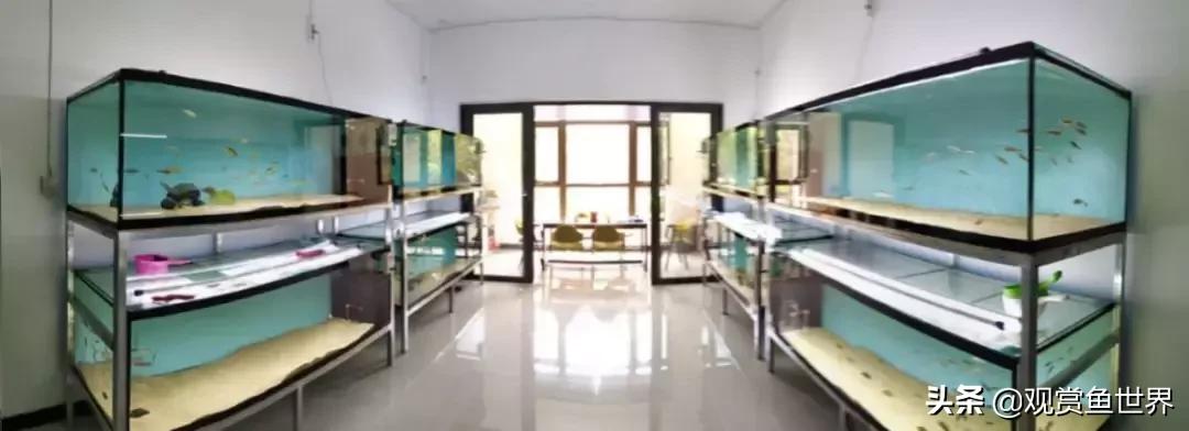 梦想的三湖世界持续建设中……方位:中国天津