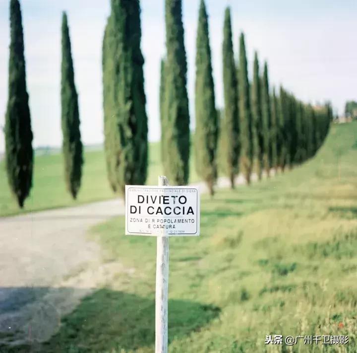 摄影必学的9种构图方法,摄影萌新必学12个构图技巧