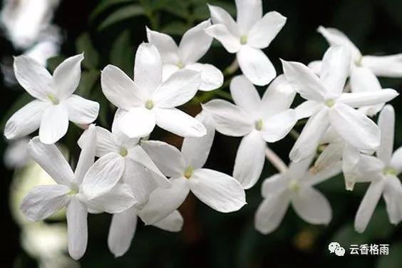 精油一般保质期多长时间,精油的有效期限是多久