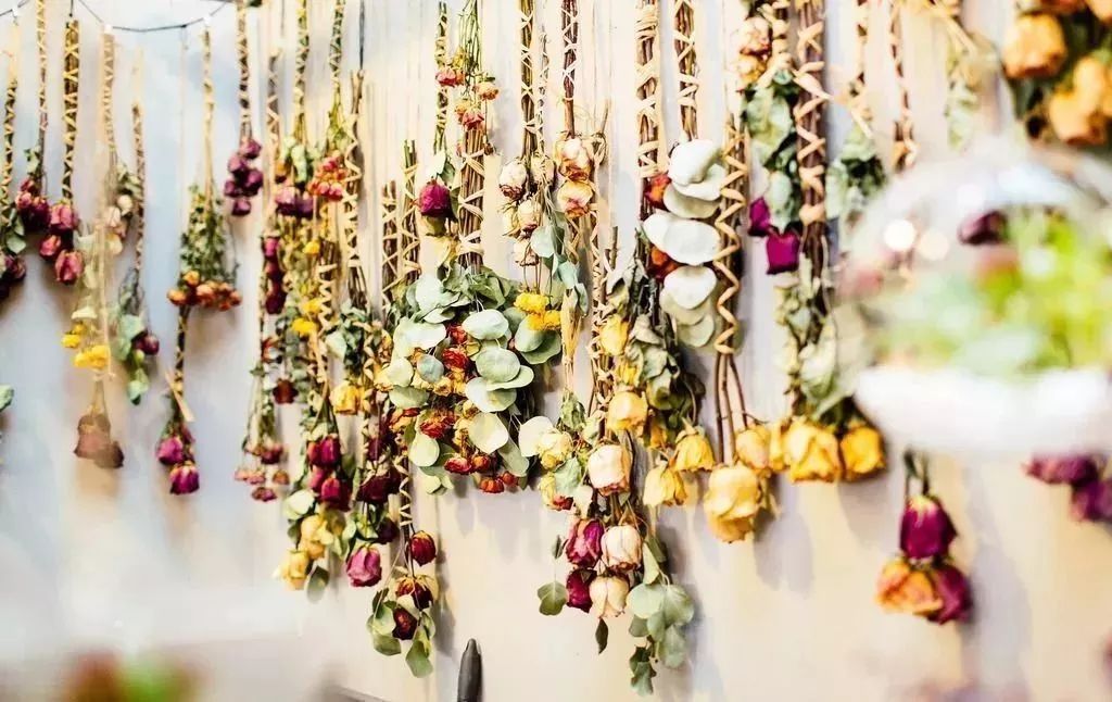 独辟蹊径才能走向成功,独辟蹊径2020