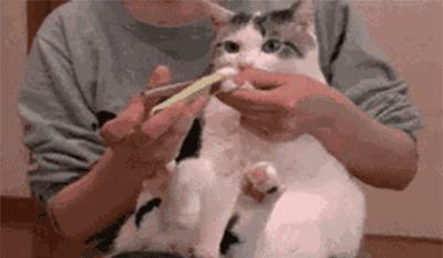 日式迷你指甲刀,专为老人设计的指甲刀