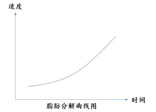 戒掉夜宵的最减肥的方法,几招不用吃药的减肥方法