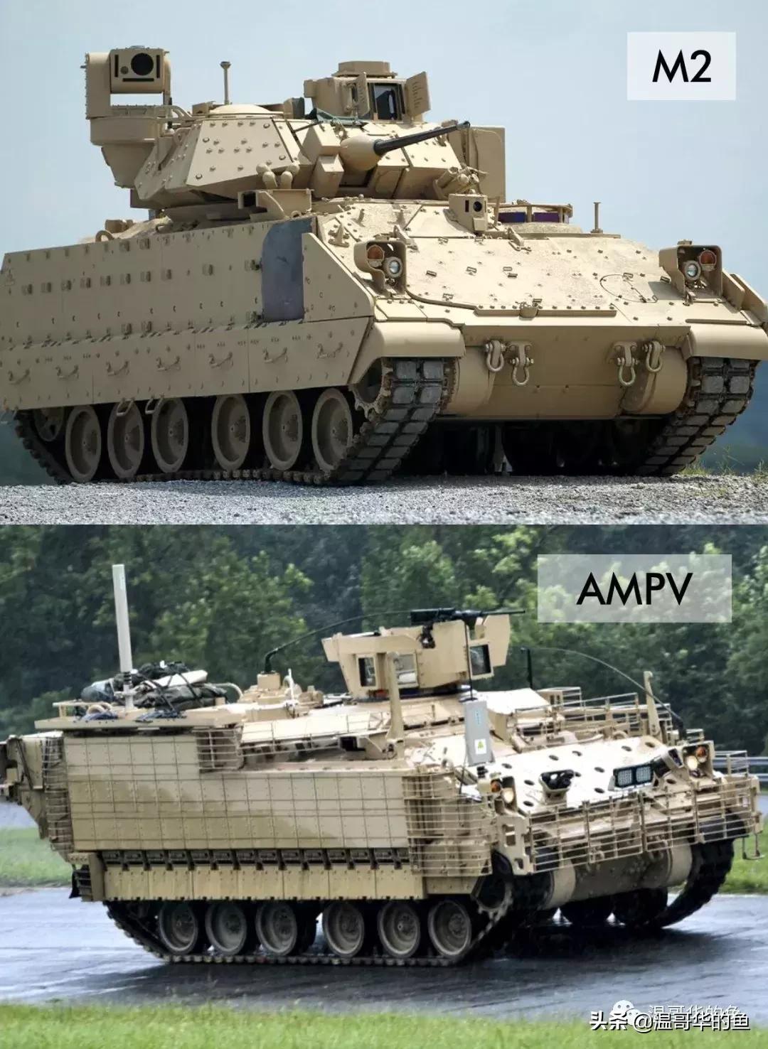 各种装甲运输车图片欣赏,各种各样装甲运兵车