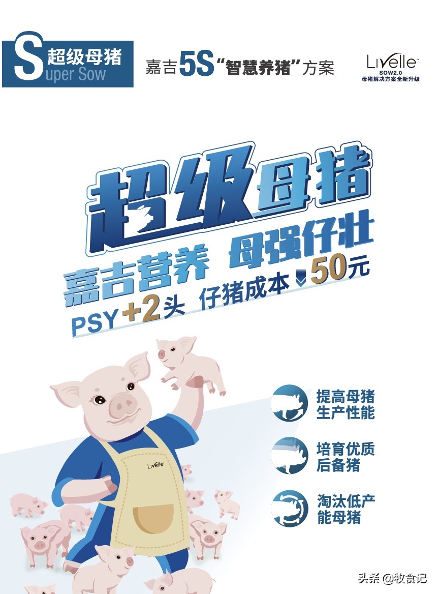 嘉吉动物营养成功案例,嘉吉动物营养最新消息