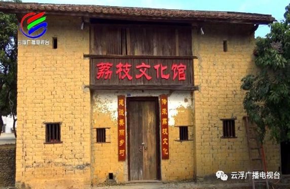 多彩云浮丨美“荔”宝珠，东进融湾