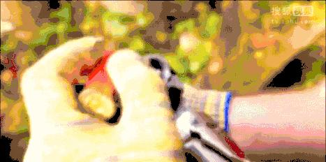 电影中一枪开锁真的靠谱吗,电影中的开锁是什么原理