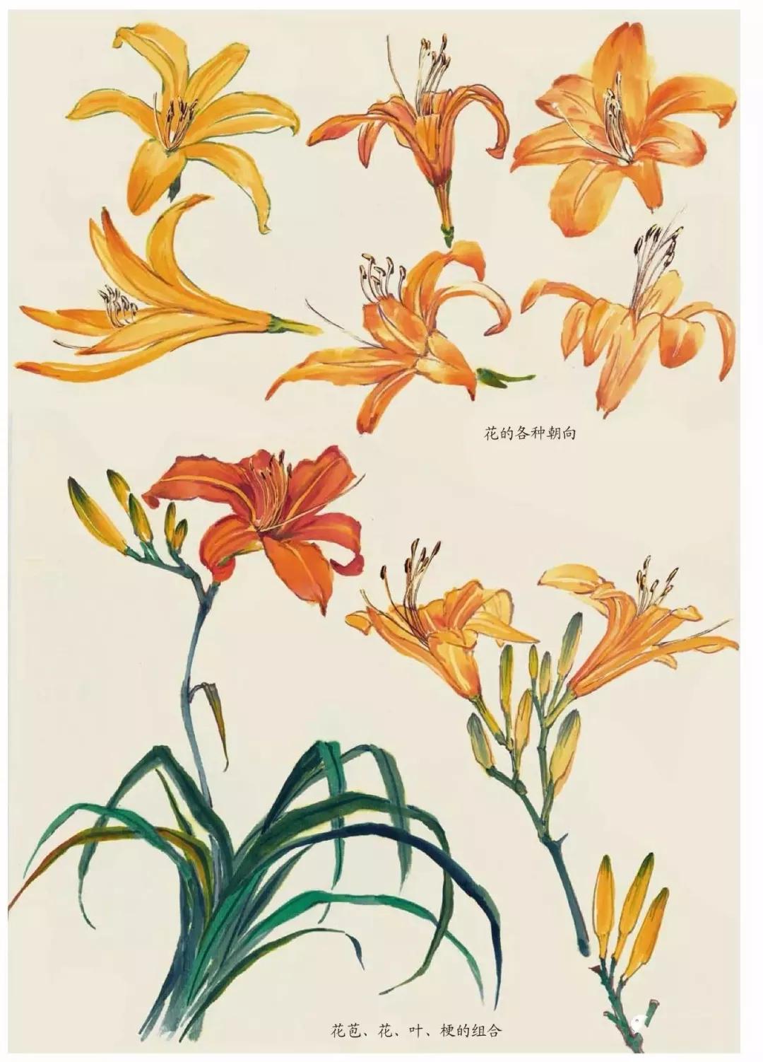 国画春景花鸟图,正是春天好风景