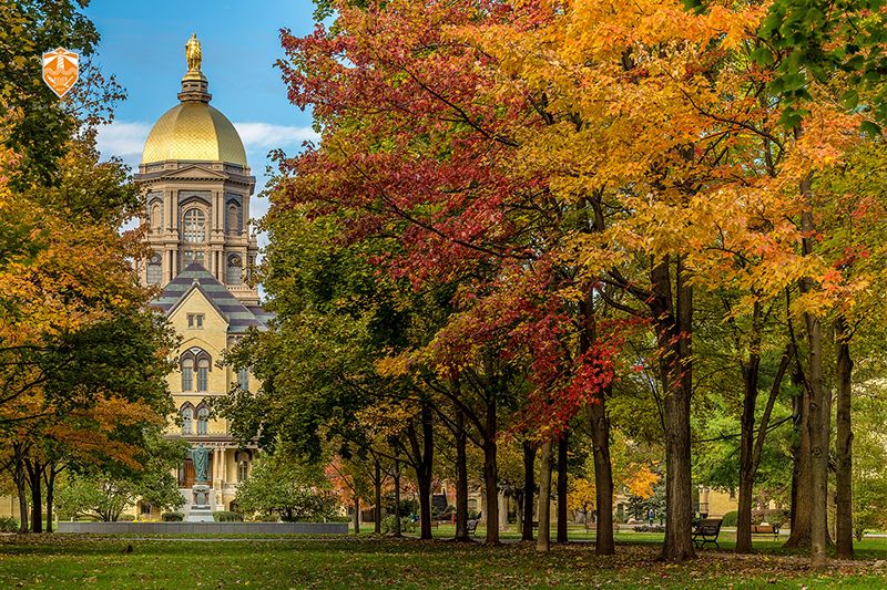 非诚勿扰18号女嘉宾留灯,非诚勿扰18号女嘉宾牵手成功