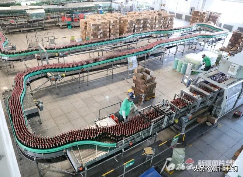 快上车视频全集,快上车完整版视频