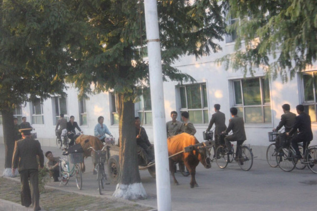 朝鲜民众在国营单位上班,朝鲜人民工作装