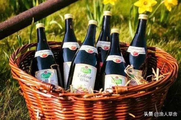 德国休闲生态农庄视频,法国休闲农业值得借鉴的经验