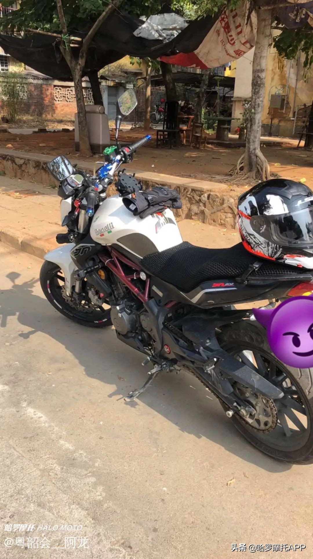 上路半年,换了4台车!从国产到大贸用车体验