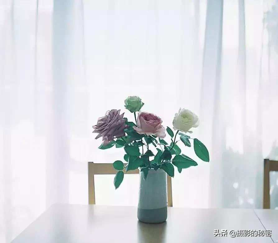 世界顶级摄影师的经典摄影作品,全球100位摄影师分享