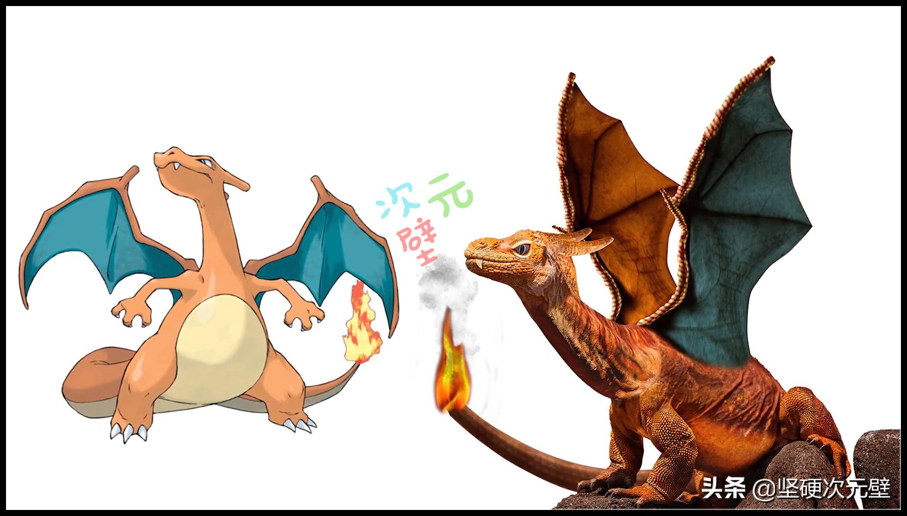 神奇宝贝喷火龙的进化史中文版,神奇宝贝火恐龙进化成了喷火龙