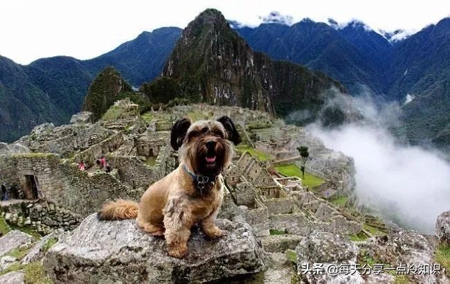 99个冷知识,九十个冷知识