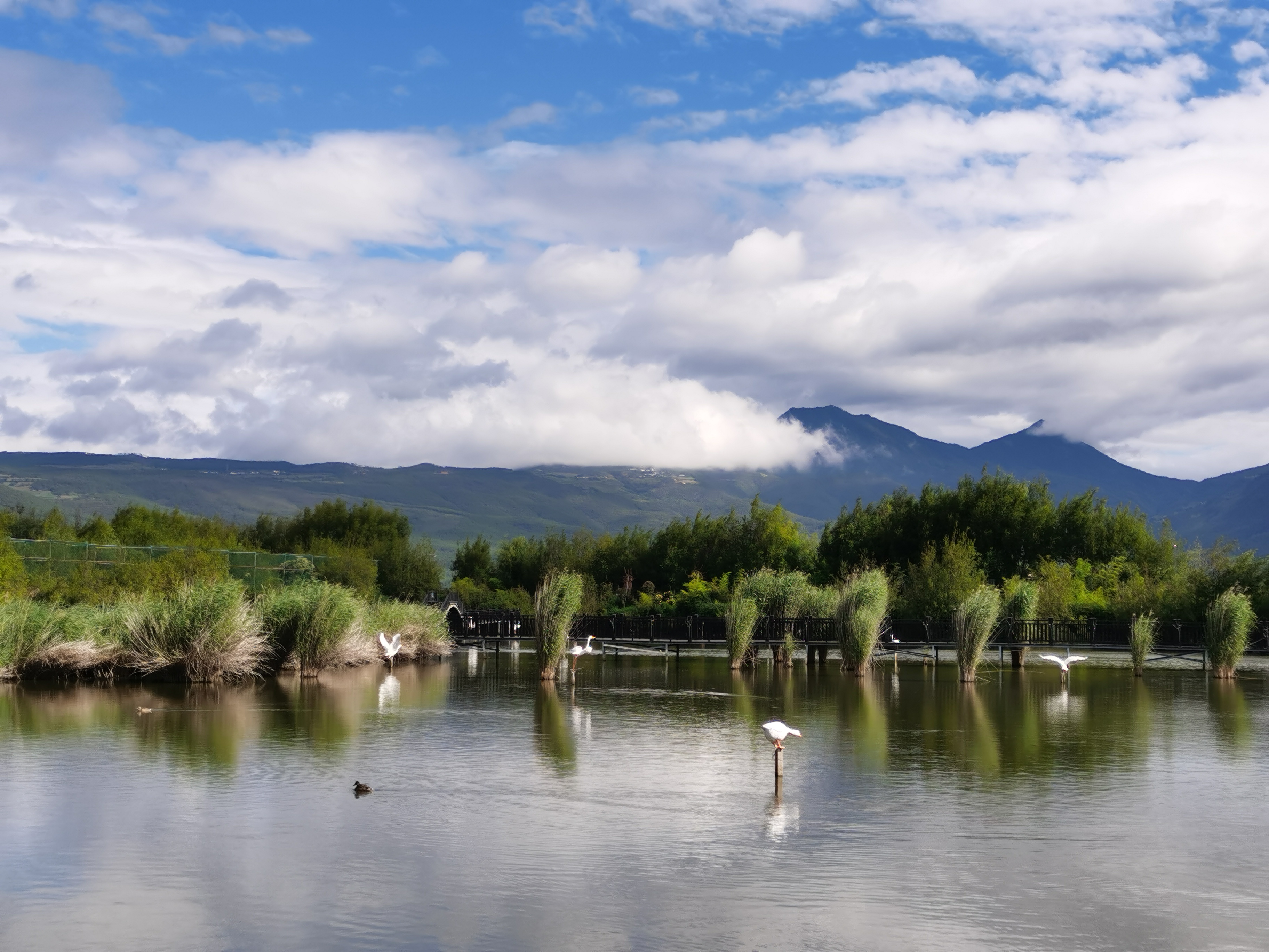 带着女儿去旅行云南,带着女儿去云南丽江玩