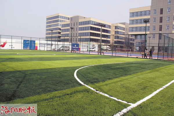 洛阳免费球场官网,洛阳王城球场