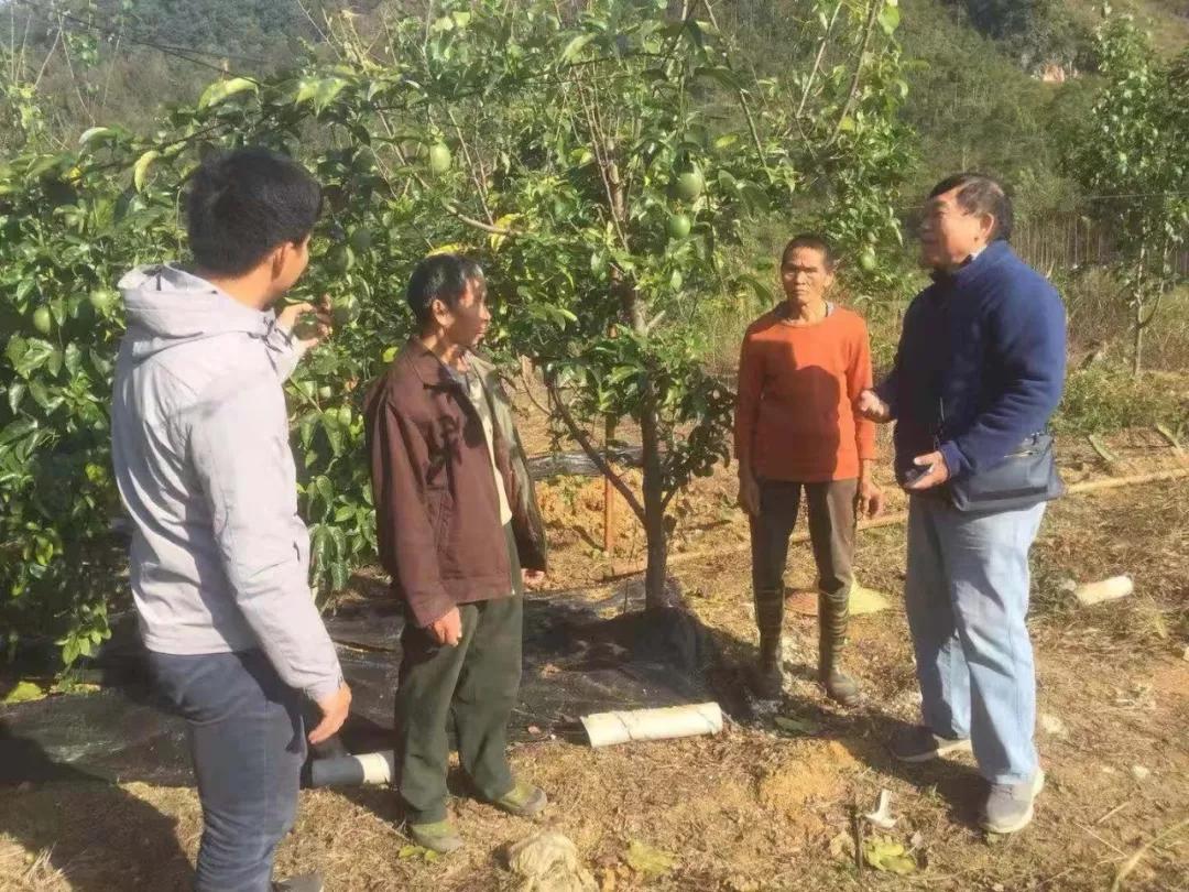 中农富玉大事记,中农富玉未来发展趋势