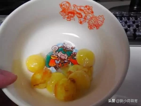 养了多年的乌龟下蛋是好兆头吗,养的乌龟下了蛋自己会孵化吗