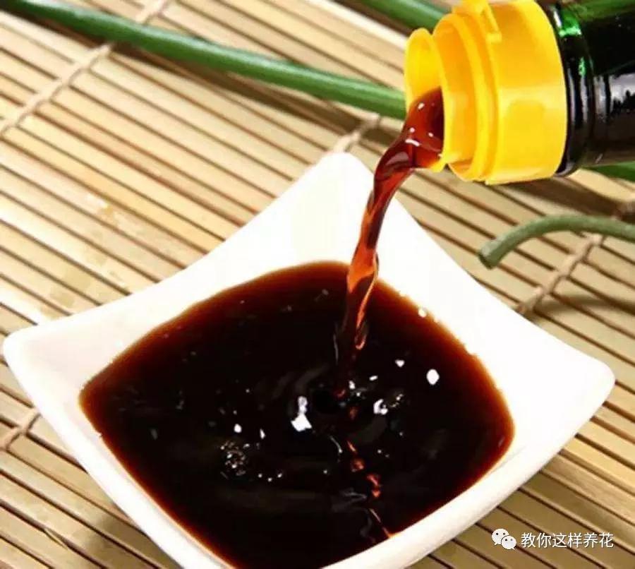 给花浇白醋会怎么样,给花浇营养液后叶子黄了