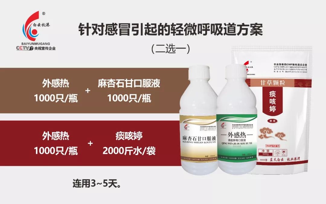 呼吸道疾病鉴别方式即治疗案例