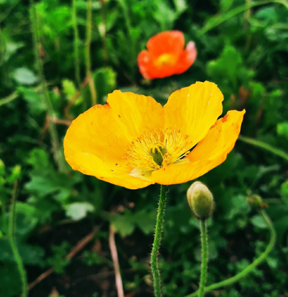 如何对付单位里想干掉你的人,怎么对付单位上狡猾的人