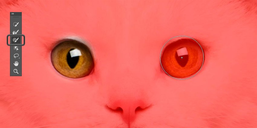 怎么在ps中更改照片底色,ps怎么改人的眼睛颜色