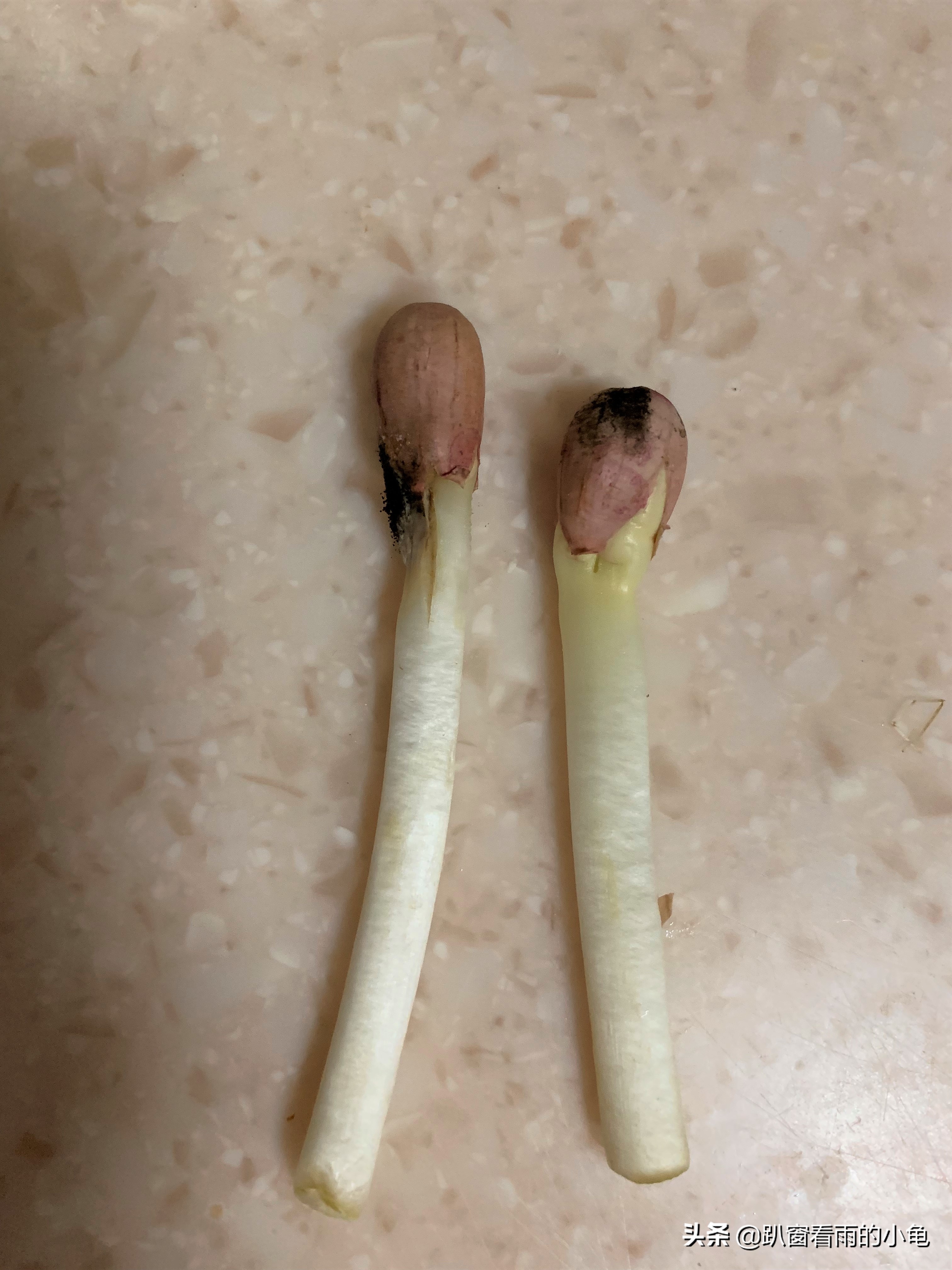 哪种花生芽又脆又好吃,百变花生