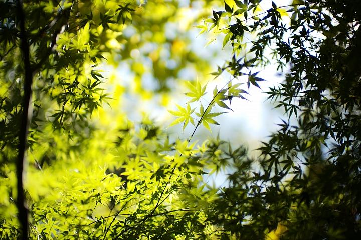 反璞归真2.0,反璞归真005