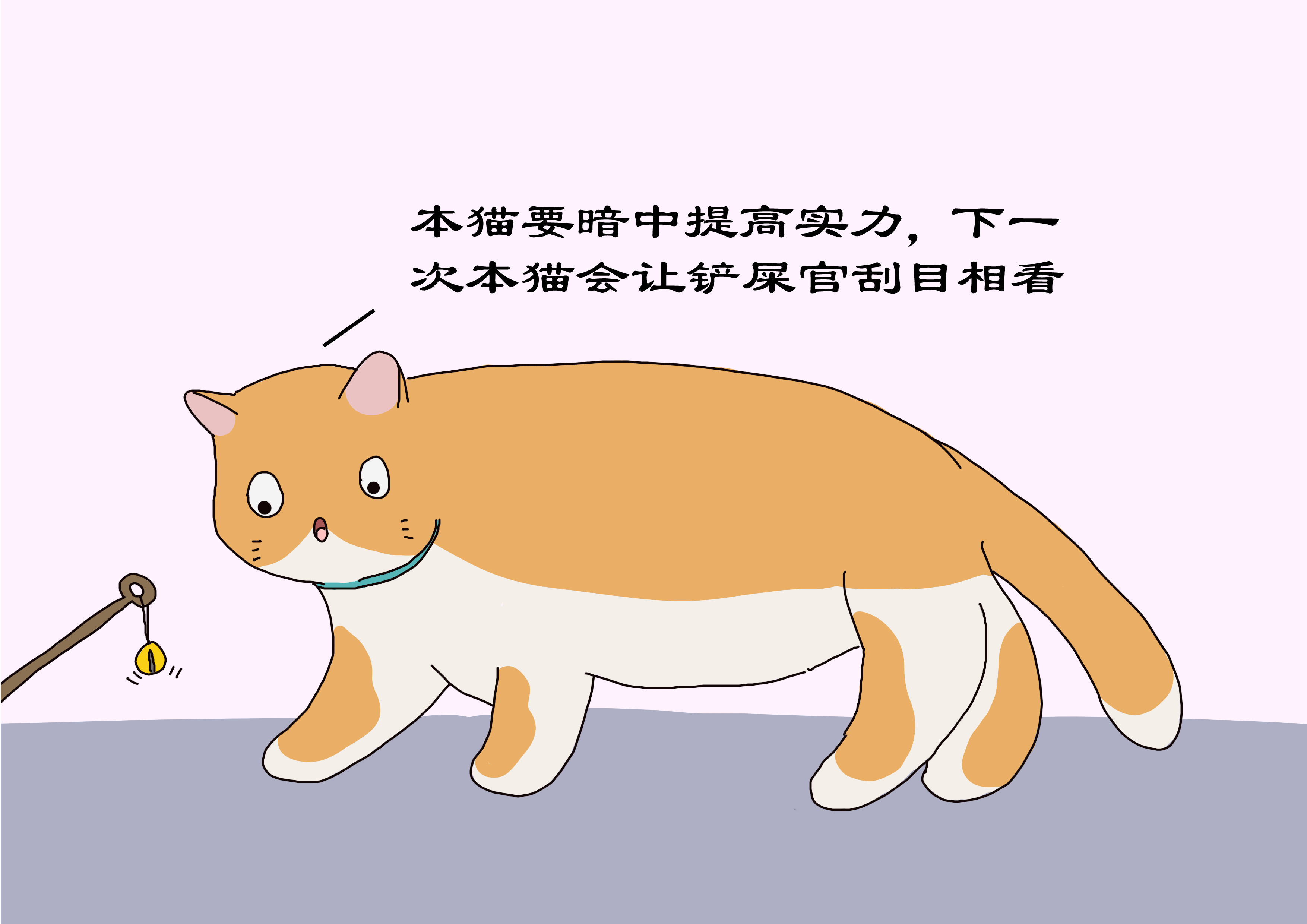 对猫有利的3种玩耍方式,对猫有益处的食物