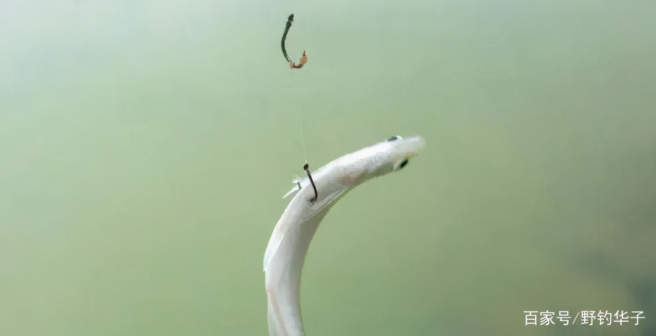 春季钓鱼改善上鱼情况的五个技巧,夏天钓鱼调几目能钓到鱼