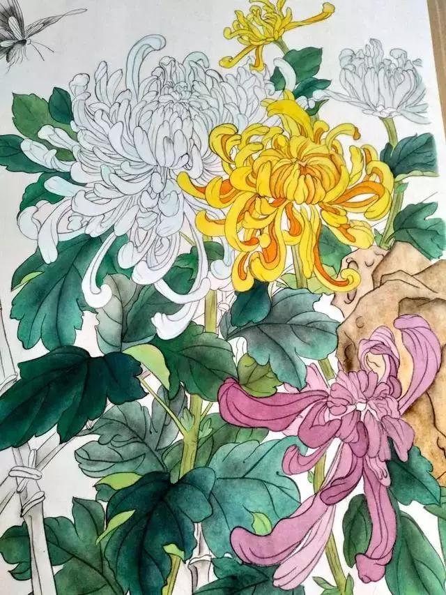 国画菊花教程工笔,工笔国画教程菊花蓝蝶