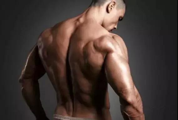 7个动作练出好身材,7个练腰动作让你成为真正的超人