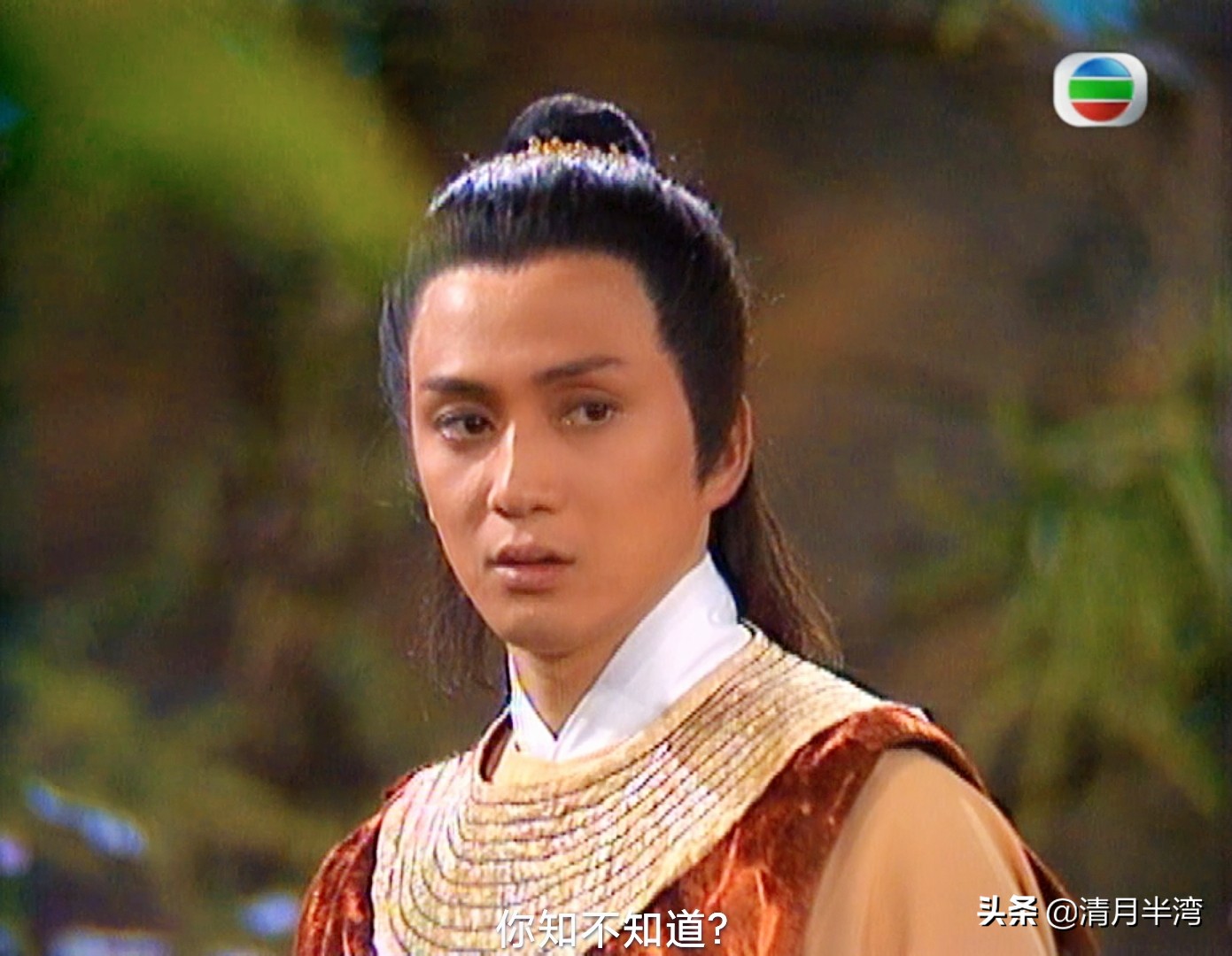 港剧老演员古装时候的颜值男神,港剧十大经典古装