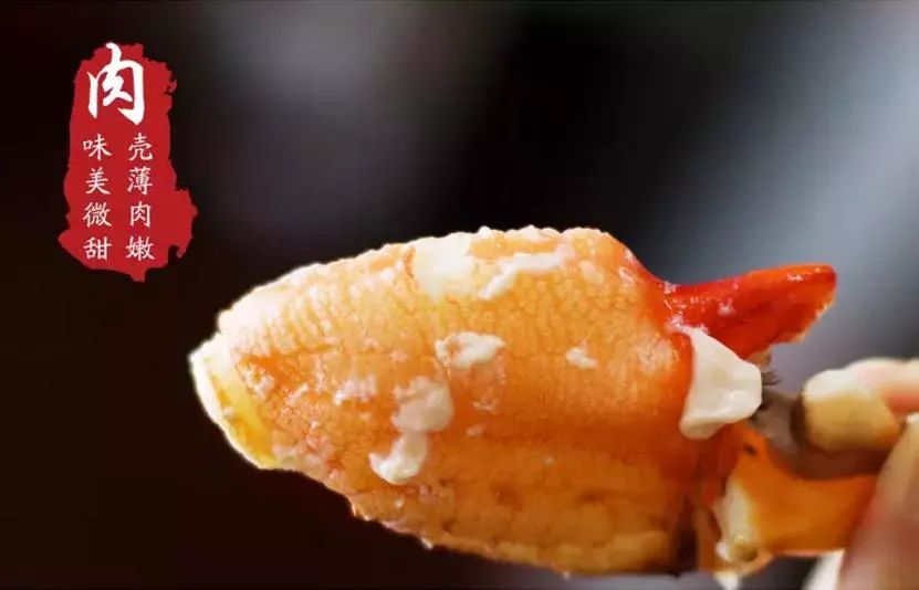 《新农》59期｜养青蟹大学生变村小二，临高95后别样“返乡路”