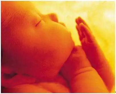 碱性体质容易生什么孩子,弱碱性容易怀男孩吗