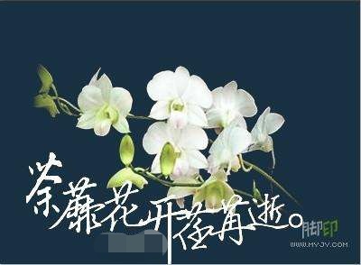 开到荼蘼那一天,开到荼靡花事了