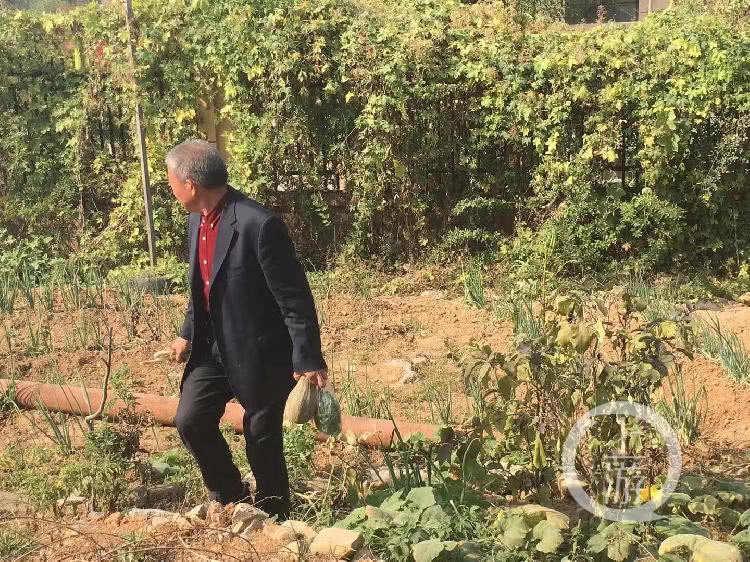 山东枣庄67高龄产妇丈夫,山东67岁高龄产妇丈夫