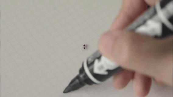 像乌鸦一样思考20集完整版中文,像乌鸦一样思考纪录片全集国语版