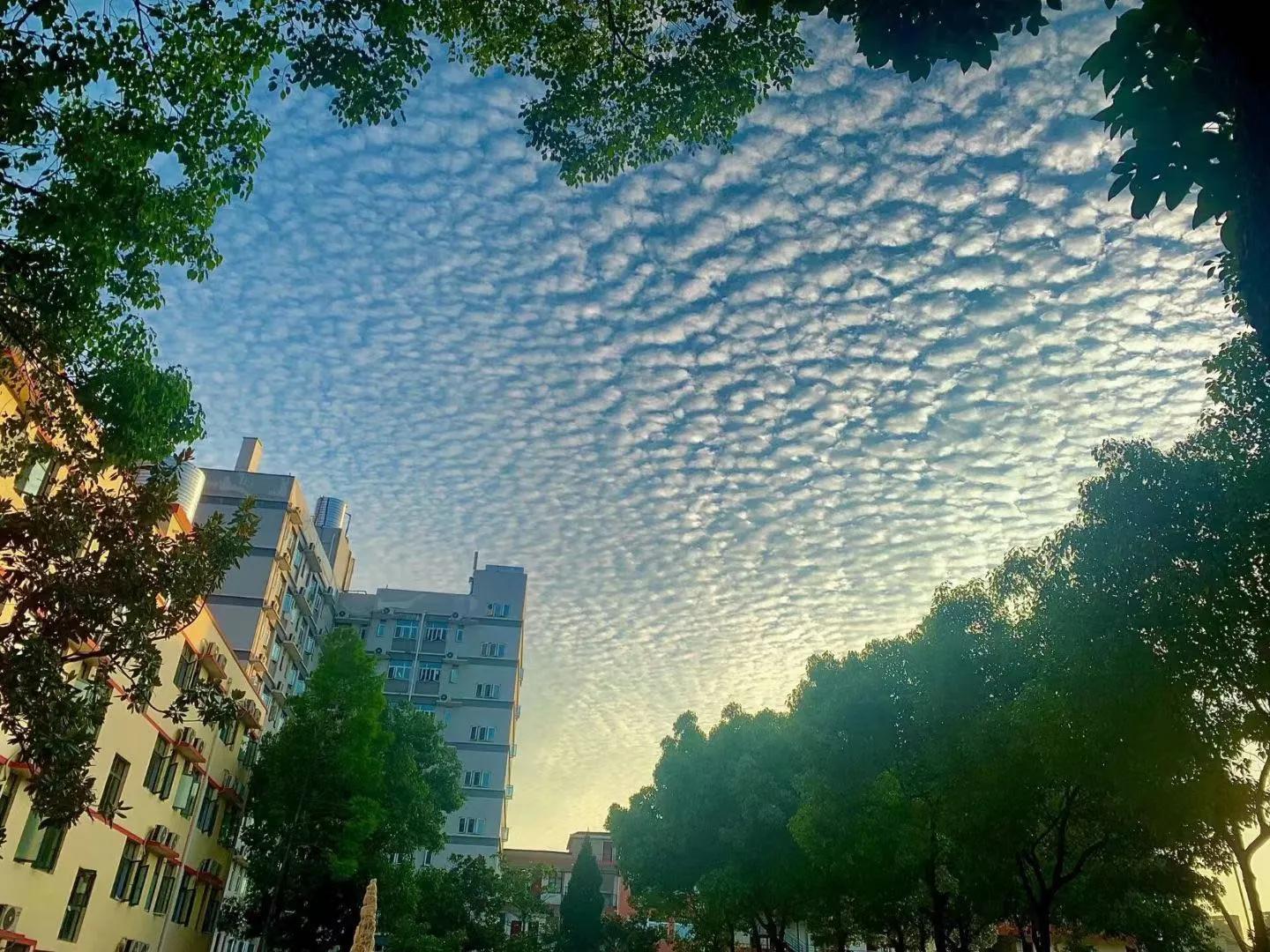 毕业进央企的优势,毕业进科研单位待遇怎么样