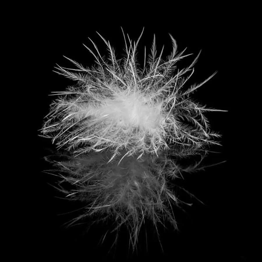 枕头选择什么不踩坑,颈椎不好睡硬枕头好还是软枕头好