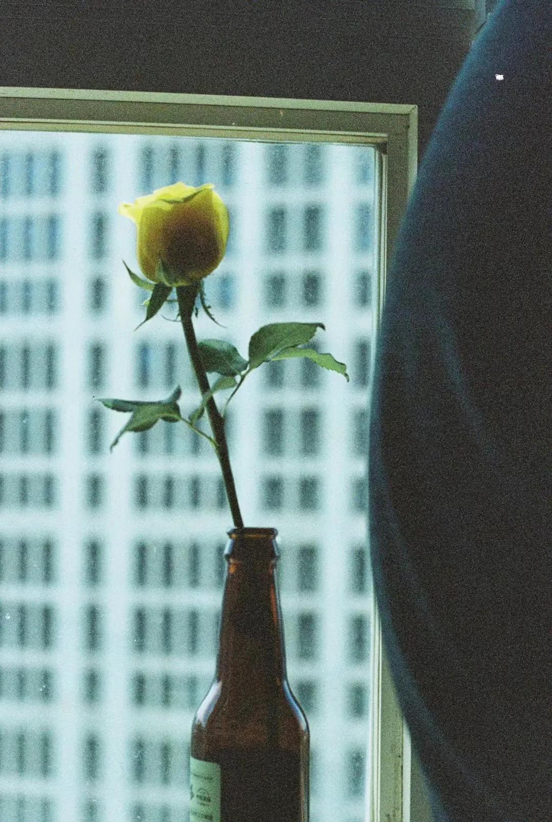 女网友奔现怀孕,女网友说怀孕了能相信她吗